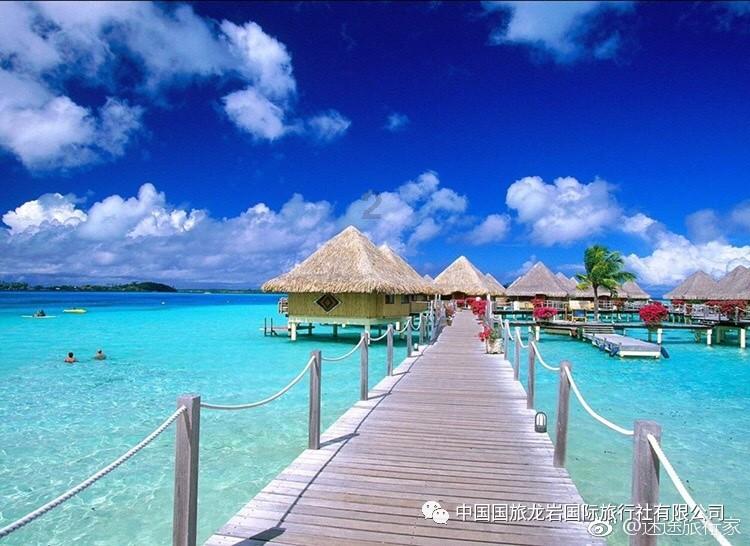 竞技宝one